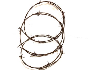 Vintage 6' Rusty Barbed Wire Loop: Farmhouse Decor, Salvage Art