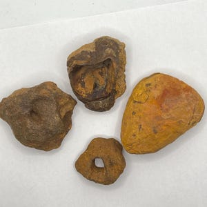 Terrarium Rocks with Holes: Small Craft Stones, Science Display Lot of 4