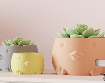 Modern Planter – 3D Printed Duck Inspired Indoor Plant Pot, Custom Color Options