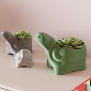 May include: Three turtle-shaped planters in varying sizes and colors. The largest is green, the medium-sized one is gray, and the smallest is white. Each planter holds a green succulent plant. The planters are on a white surface.