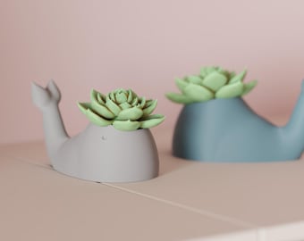 Modern Planter – 3D Printed Whale Inspired Indoor Plant Pot, Custom Color Options
