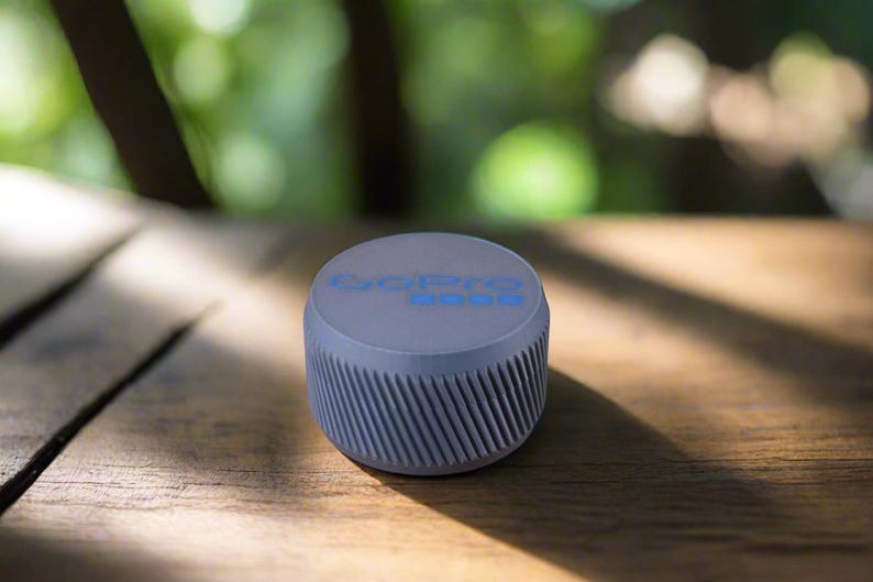 Pu&ograve; includere: Un altoparlante grigio cilindrico con la scritta "GoPro 360" stampata sulla parte superiore. L'altoparlante &egrave; appoggiato su una superficie di legno.