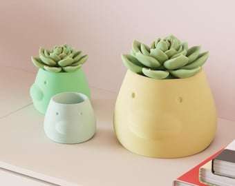 Modern Planter – 3D Printed Duck Inspired Indoor Plant Pot, Custom Color Options