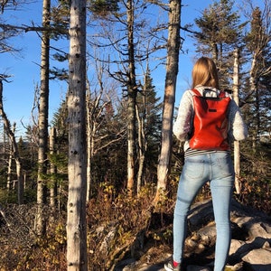 May include: A red backpack with a zipper closure and a black strap. The backpack is worn by a person standing in a forest setting.