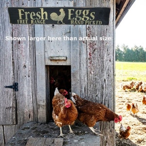 Fresh Eggs, Free Range chickens, Hand Picked Eggs, Rooster, Duck, Rustic Sign, Country Sign, Wood, Farmhouse Sign, Home Decor, Kitchen Sign
