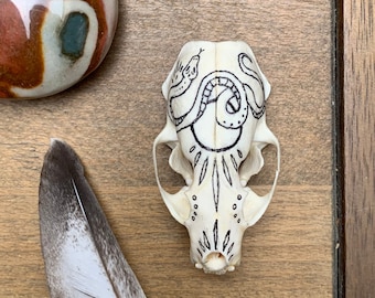 Hand Painted Hand Drawn Mink Skull with Snake Design
