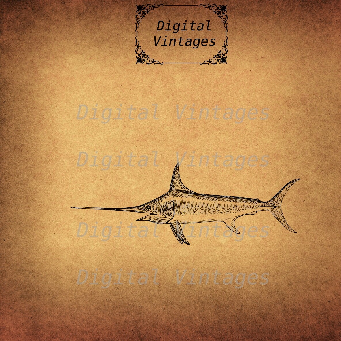 Download Swordfish Sword Fish Animal Royalty Free Illustration Vintage Etsy