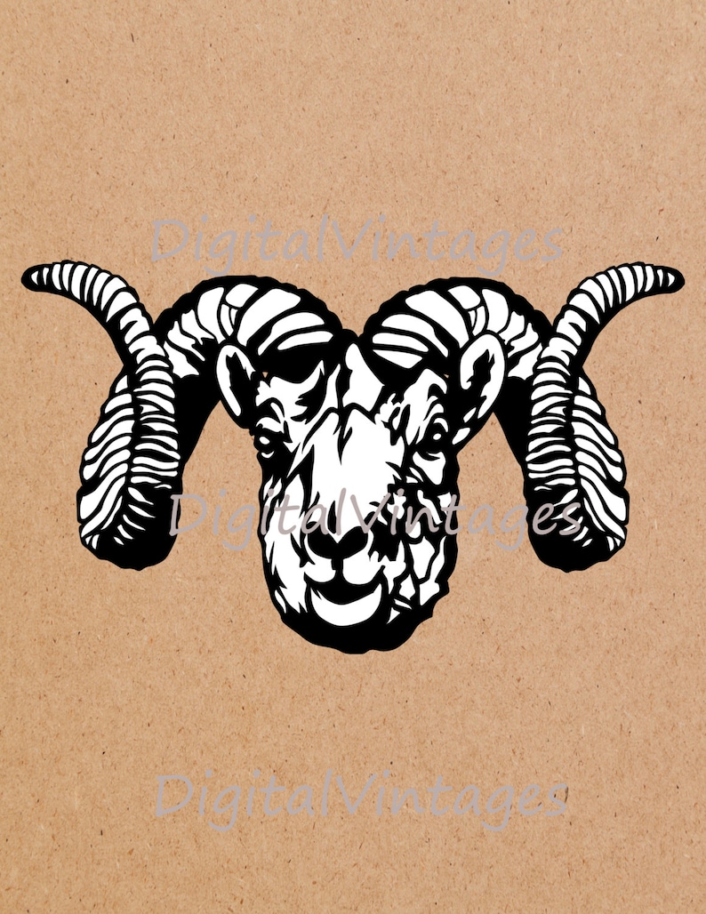 Digital Image Ram Sheep Head Horns Graphic Download Printable | Etsy
