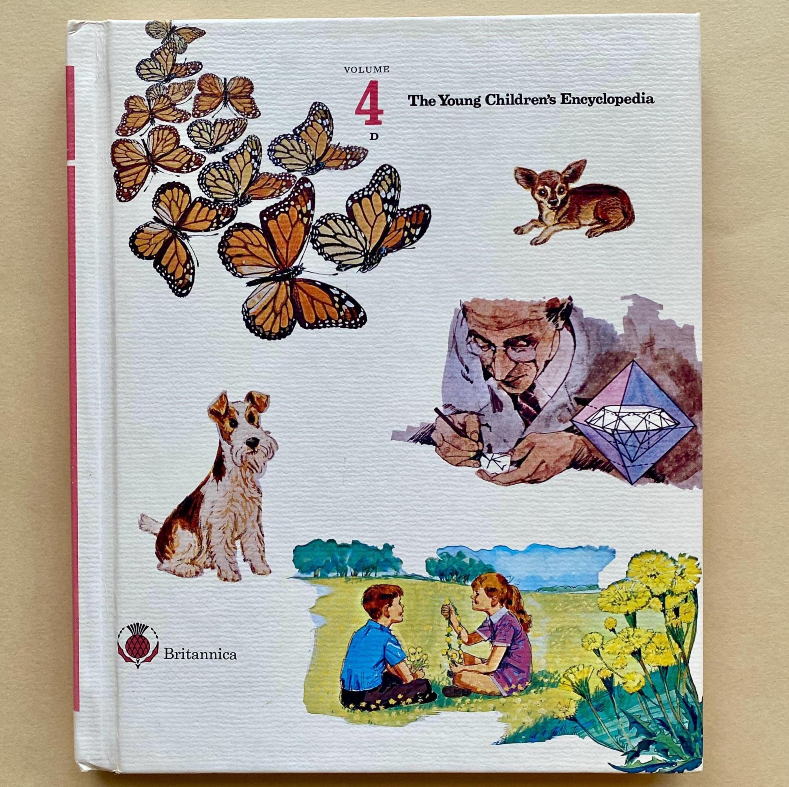 語学・辞書・学習参考書 The Young Children's Encyclopedia The New Children's Encyclopedia (Visual Encyclopedia): DK