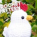 see more listings in the Crochet Patterns section