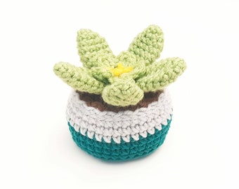 Succulent Plush | Stuffed Decoration Plushie | Home Decor | 5 Inches | Handmade Crocheted | Fern Green Planted Cactus in Teal Grey Soft Pot