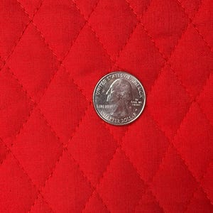 Quilted padded lined fabric cherry red double sided vest dog jacket hotpads  placemats crafts price per piece 42 x 22.5" & 36" x 17"