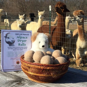 May include: A close-up of a basket filled with beige alpaca dryer balls. A sign in the foreground reads "100% All Natural Alpaca Dryer Balls" and lists the benefits of using alpaca dryer balls. The sign is in front of a fence with alpacas in the background.