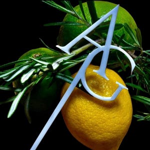 Wedding Drink Stirrers - Cocktail Sticks - Custom Drink Stirrers - Party Stirrers