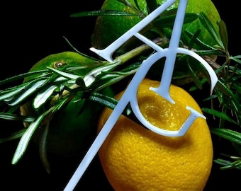 Custom Acrylic Drink Stirrers - Personalized Cocktail Sticks