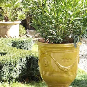 May include: A large, yellow-green ceramic planter with a decorative design and a plant inside. The planter is outdoors, surrounded by greenery and other planters. The planter is approximately 24 inches tall.