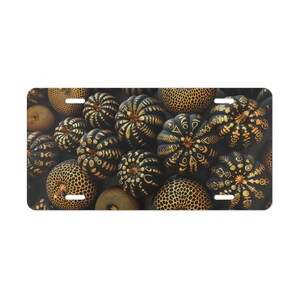 ON SALE, Pumpkins Vanity Plate Black Gold