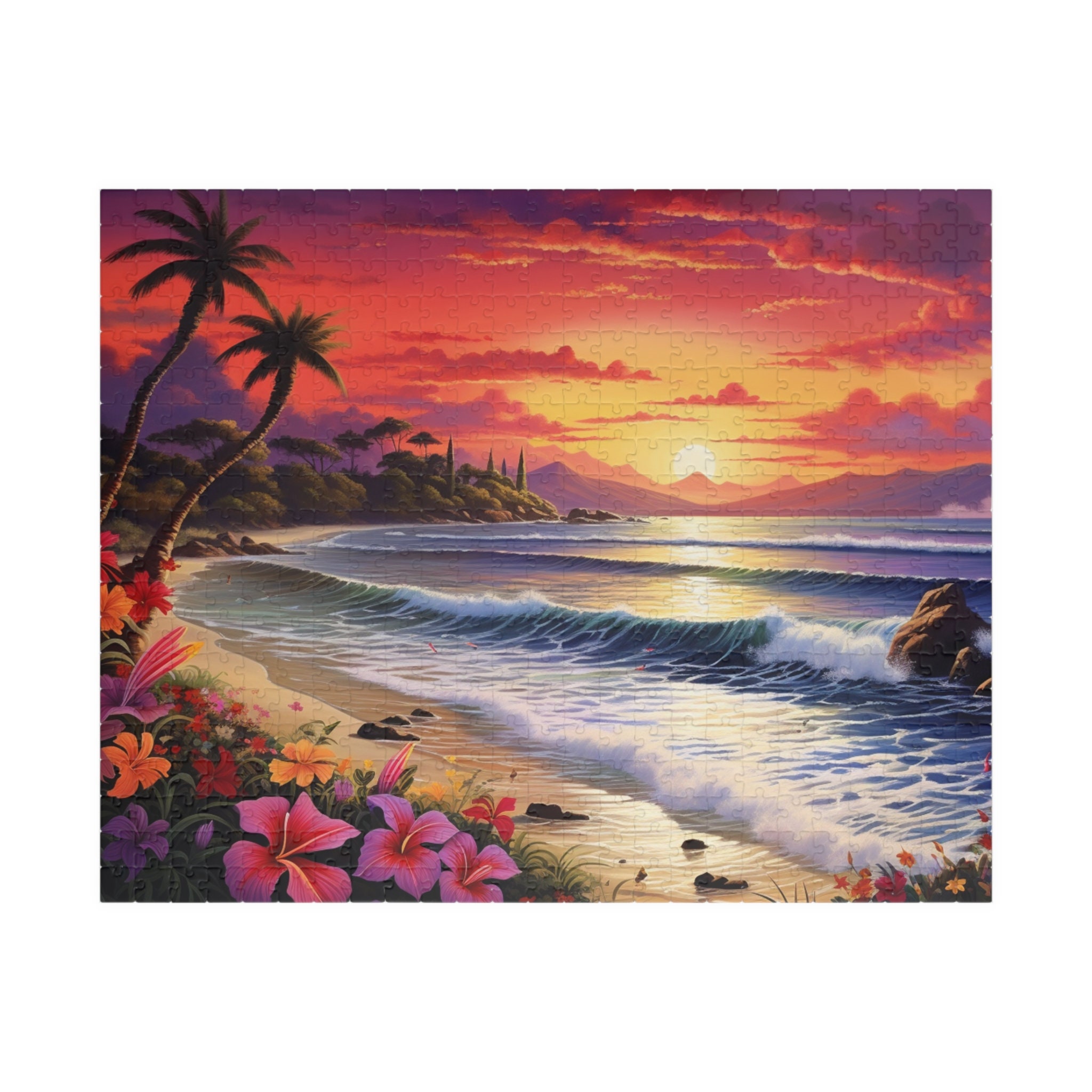 邦楽 Dragon Ash/Sunset Beach Premium Ver Dragon Ash/Sunset Beach Premium Version（安心発送 | sunset