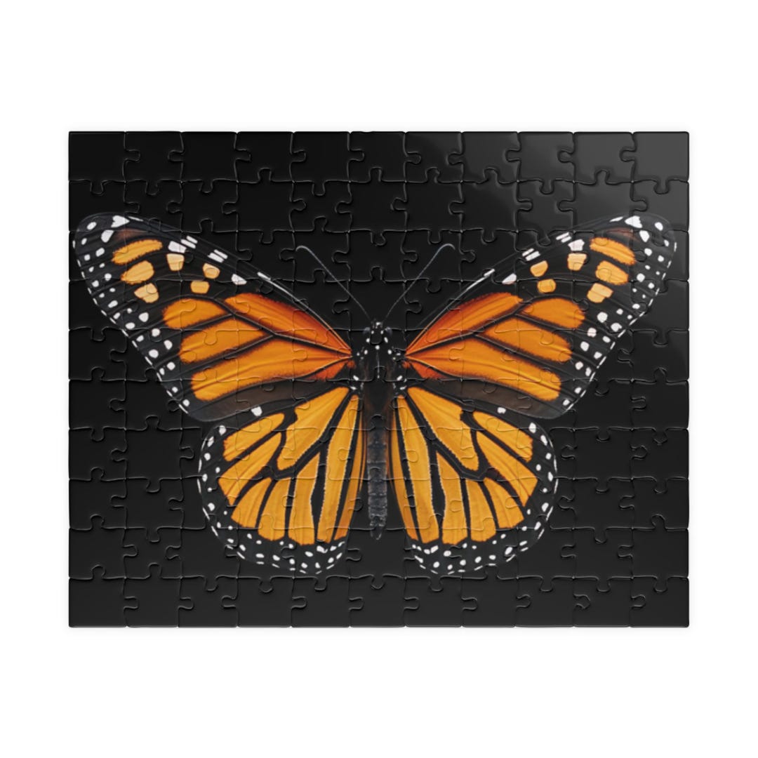 BUTTERFLY - 朱世赫FL Amazon.com: BicBugs CRENIS PECHUELI Real Framed Butterfly