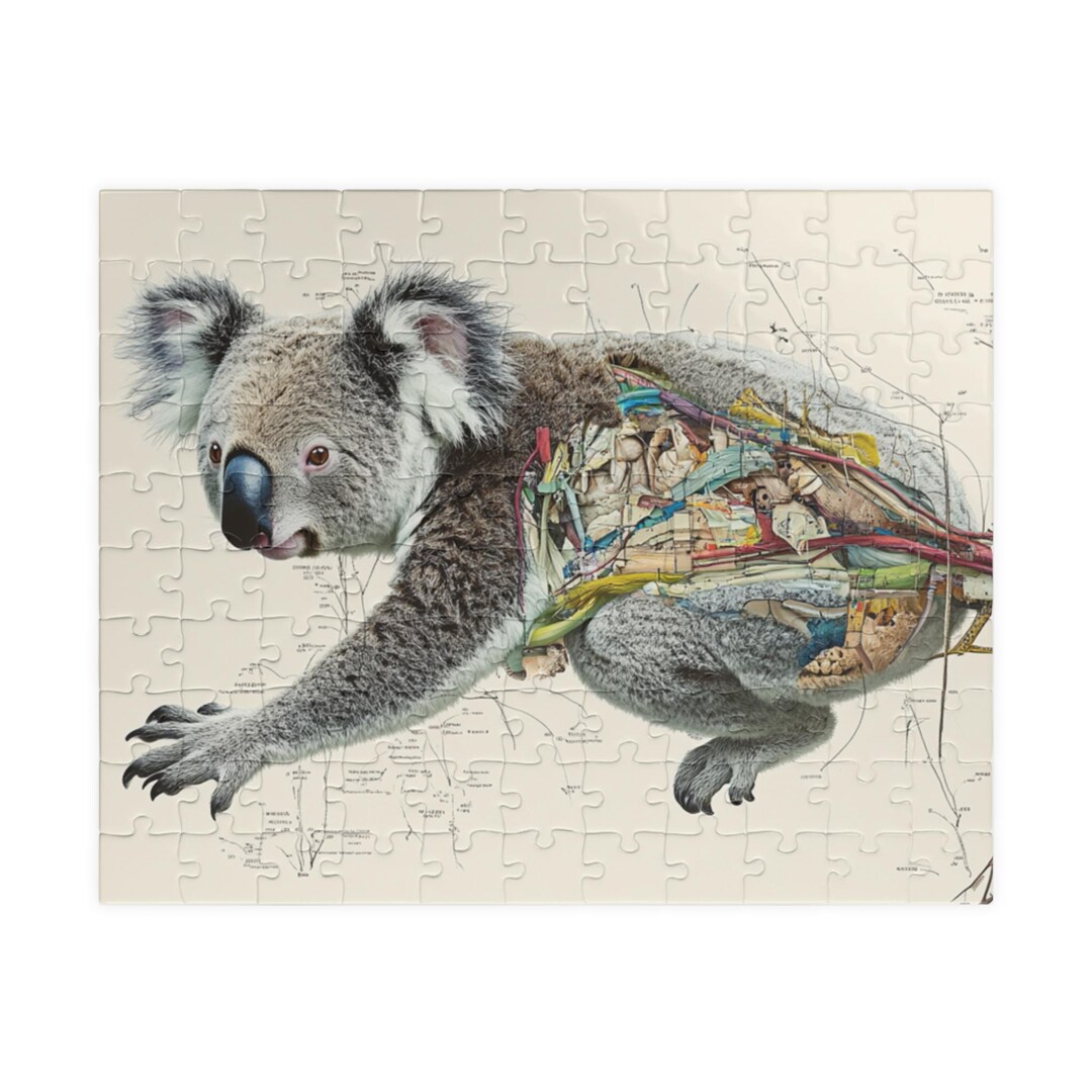 Koala Anatomy Puzzle Educational Animal Gift Anatomy Jigsaw Puzzle 