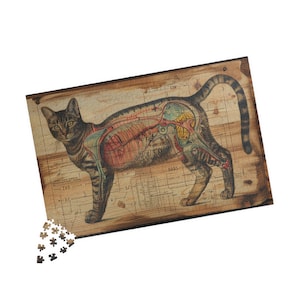 May include: A vintage anatomical illustration of a cat with its internal organs visible. The cat is brown and black with a white chest. The illustration is on a wooden background with a grid pattern.