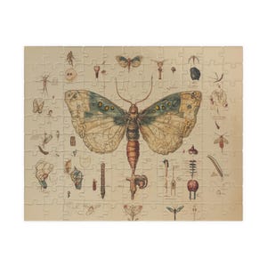 ON SALE, Moth Anatomy Puzzle (110, 252, 520, 1014-piece)