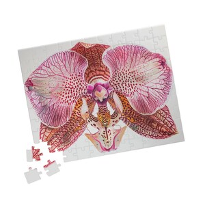 May include: A close-up of a pink and red orchid flower with intricate details. The flower is in focus, while the background is blurred. The flower is a jigsaw puzzle piece, and some pieces are missing.