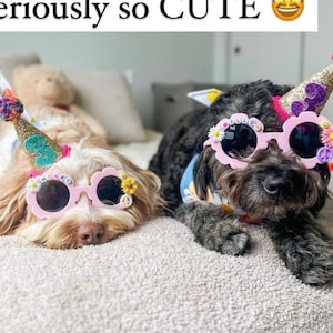 Personalized Pet Flower Sunglasses: Custom Dog Photo Prop