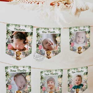 Party Animals 1er anniversaire Milestone Photo Cards, Jungle First Birthday Photo Cards, 1st Year Photo Banner Télécharger WD 0228