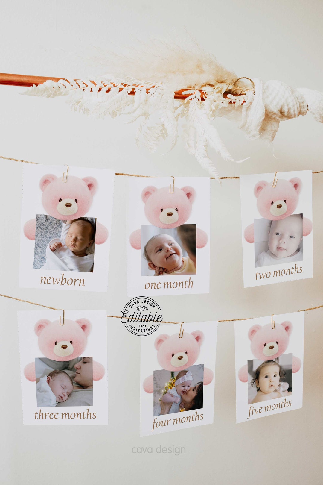 1st Birthday Milestone Photo Cards Teddy Bear, Pink Bear First Monthly ...