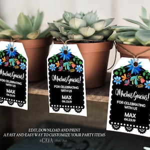 Fiesta Invitation Thank you Tags, Boy Baby Shower, Printable Mexican Theme Favor Tags, Editable INSTANT DOWNLOAD