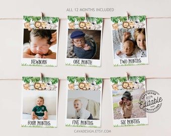 Wild One Jungle Milestone Photo Card Banner, Gender Neutral Photo Monthly Cards, Safari 1st Birthday Banner Printable Download 238G