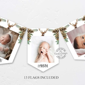 Boy Winter Woodland Milestone Photo Card Banner, Gender Neutral Photo Monthly Cards, Forest Birthday Banner Imprimable Télécharger 0309