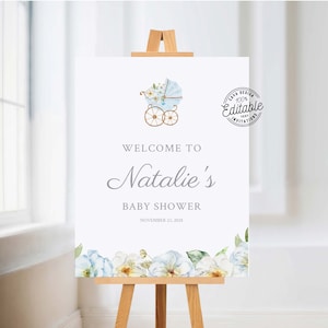 Editable Blue Baby Stroller Baby Shower Welcome Sign Template, Garden Baby Shower Welcome Sign Printable, Instant Download 0350BY