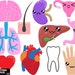 Cutting Files Kawaii Organs Digital Files SVG Eps Png Jpg - Etsy
