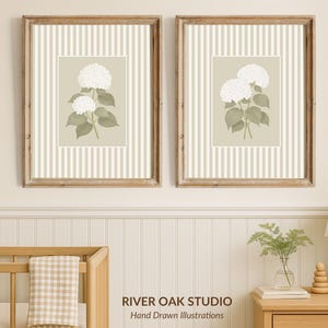 May include: Two framed botanical prints featuring white hydrangea flowers with green leaves. The artwork is set against a striped background in a neutral color palette. The frames are made of wood. The prints are displayed above a crib.