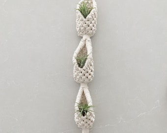 Macrame Air Plant Hanging Display ~ 3 Plants Included