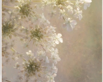 Queen Annes Lace Print, Wildflower Wall Art, Home Decor, Wildflower Photograph, Fine Art Print, Unframed Print, "Queen Anne's Lace Bouquet "