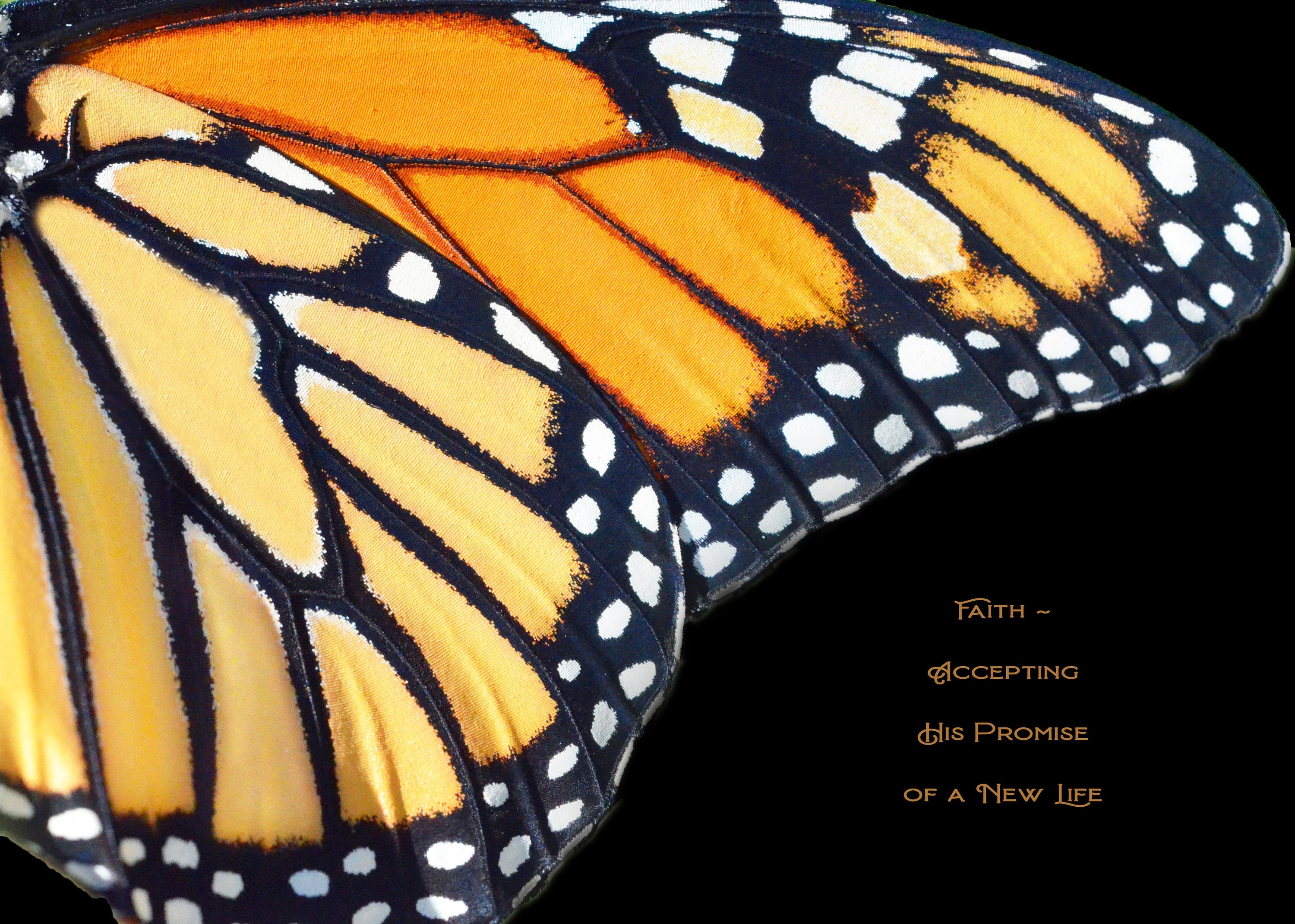 Monarch Butterfly Print, Inspirational Art, Inspirational Quote ...