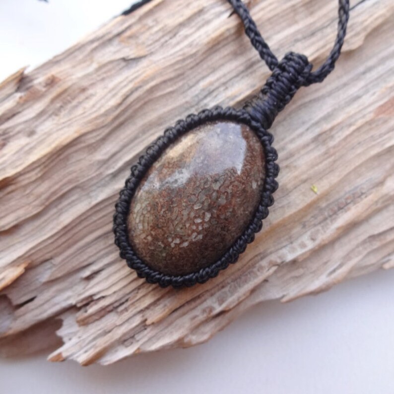 Cadeau 45 Dinosaure Moins Bureau Ancien Protection Collier Courses Os Dollars Fossile Bijoux Pierre De Marron 3u1TlF5JcK