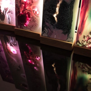 Op de afbeelding: Vier rechthoekige lichtbakken met abstracte ontwerpen in tinten roze, paars, groen en zwart. De lichtbakken worden van achteren verlicht, waardoor een gloeiend effect ontstaat.