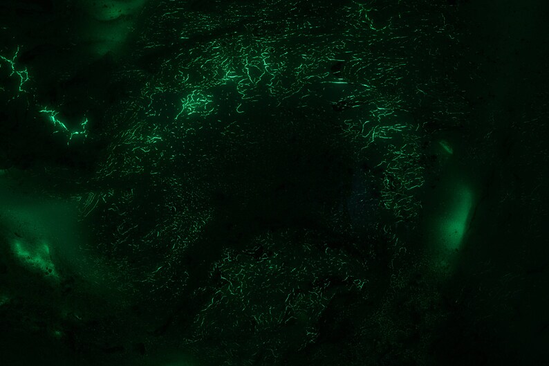 Circular Wall Light Large Round Glass Wall Art Glass Lighting Etsy