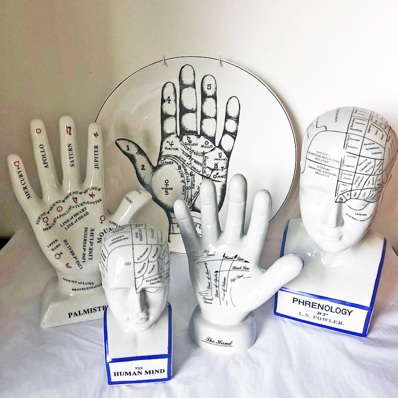Phrenology head, palmistry hand statue, human bust, human mind statue, hand statue sold individually image 2