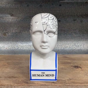 Phrenology head, palmistry hand statue, human bust, human mind statue, hand statue sold individually Modern phrenology