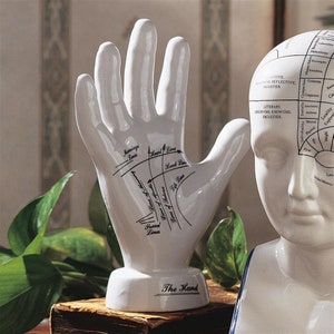 Phrenology head, palmistry hand statue, human bust, human mind statue, hand statue sold individually Palm reading