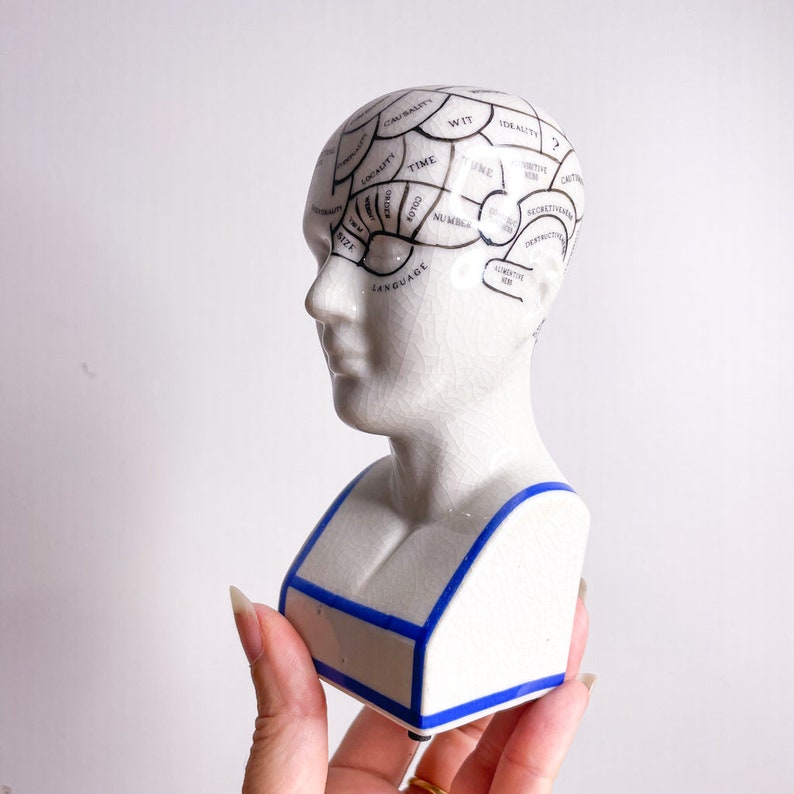 Phrenology head, palmistry hand statue, human bust, human mind statue, hand statue sold individually Phrenology sm