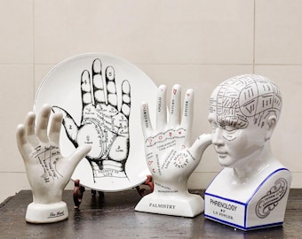 Phrenology head, palmistry hand statue, human bust, human mind statue, hand statue - sold individually