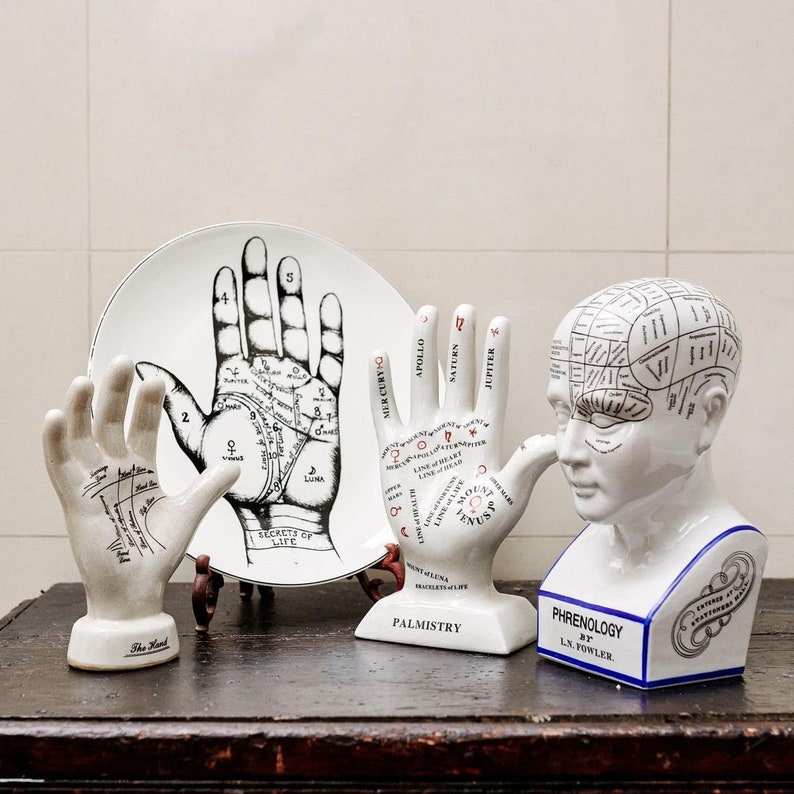 Phrenology head, palmistry hand statue, human bust, human mind statue, hand statue sold individually image 1