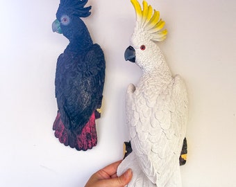 Red tail Black cockatoo or Yellow crested cockatoo wall hanging