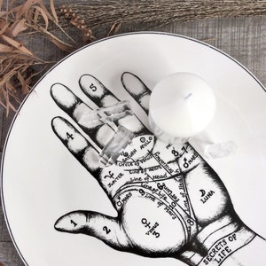 Phrenology head, palmistry hand statue, human bust, human mind statue, hand statue sold individually palmistry plate